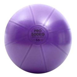 Studio Pro 500kg Swiss Ball