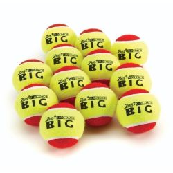 Zsig Slocoach Tennis Balls - Red