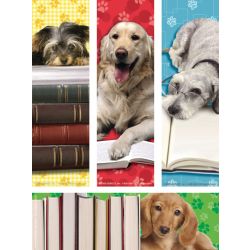 Dog Bookmarks Pk/200