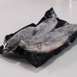 Frozen Bony Fish, Mackerel, Pack 5