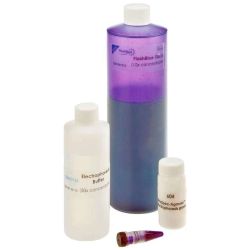 Electrophoresis Reagent Package W/Flashblue™ Stain