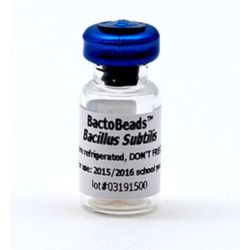 Bactobeads: Bacillus Subtillis