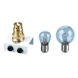Bulbs, SBC Cap, Radial Filament, 12 V, 21 W