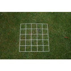 Quadrat, 25 Squares