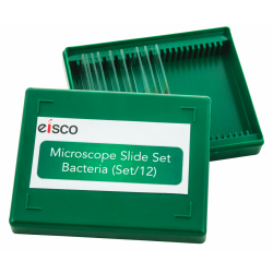 Microscope Slide Set, Bacteria, Set 12