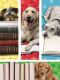 Dog Bookmarks Pk/200