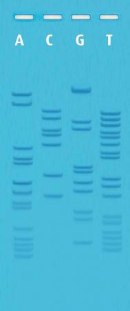 Ready-To-Load DNA Sequencing