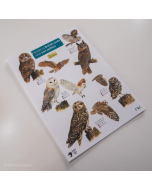 Owl & Owl Pellet Guide
