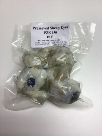 Preserved Sheep Eyes